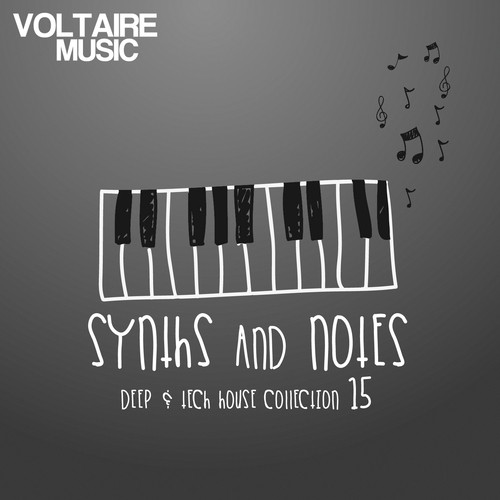 Synths And Notes 15 (Deep & Tech House Collection)