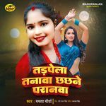 Tadpela Tanawa Chhachhane Paranwa