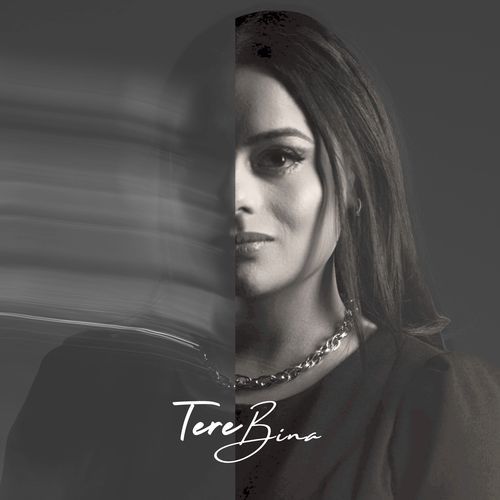 Tere Bina