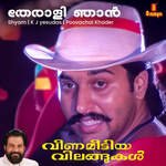 Theraali Njan (From "Veena Meettiya Vilangukal")