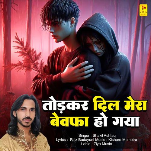 Todkar Dil Mera Bewafa Ho Gaya