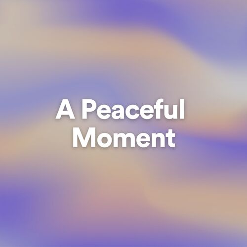 A Peaceful Moment_poster_image