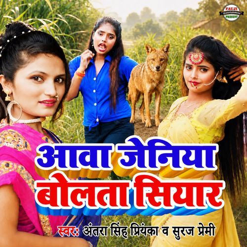 Aava Jeniya Bolata Siyar