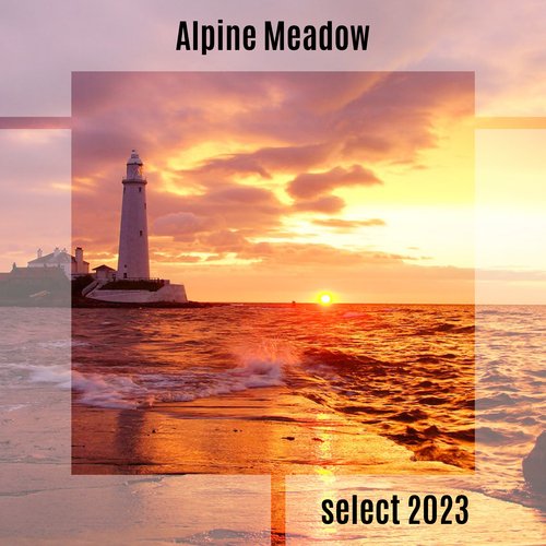 Zincone (Pitch-4) cover art