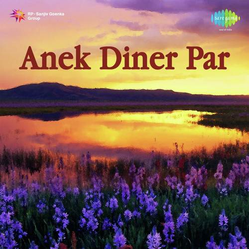 Anek Diner Par