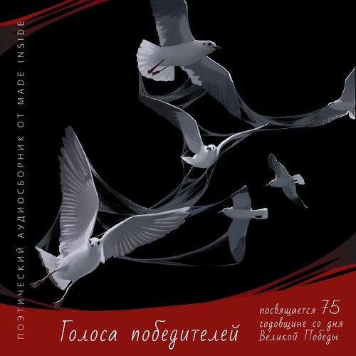 В тылу cover art