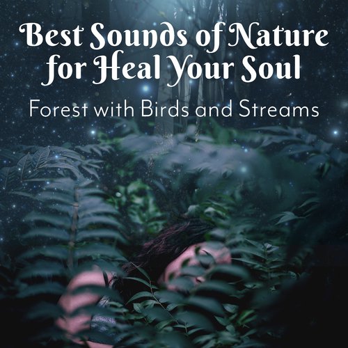Best Sounds of Nature for Heal Your Soul (Forest with Birds and Streams)