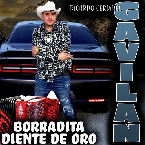 Los Dos de Sonora cover art