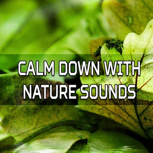 Calm Down with Nature Sounds – Music to Help You Rest, New Age Relaxation, Inner Balance, Mind Peace
