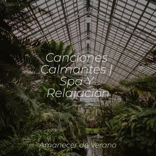 Canciones Calmantes | Spa Y Relajación