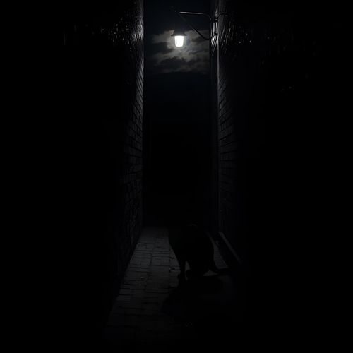 Intentions cover art