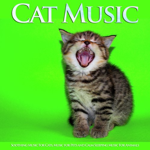 Background Sleeping Music For Cats