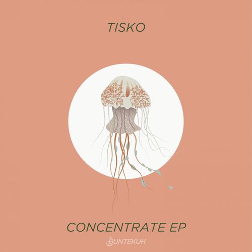 Concentrate EP