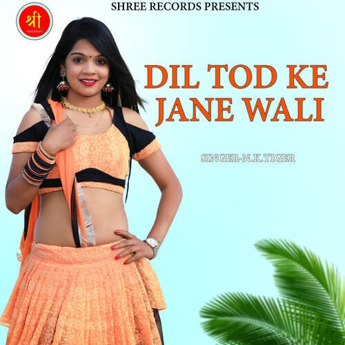 DIL TOD KE JANE WALI