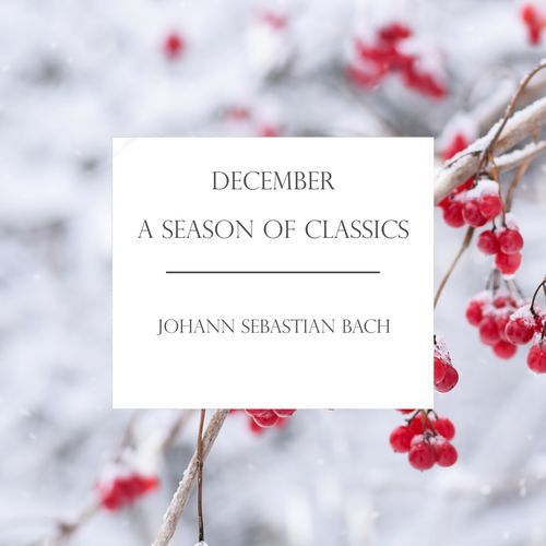 J.S. Bach: Prelude for Lute in C Minor, BWV 999