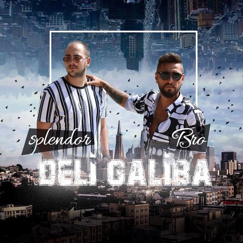 Deli Galiba_poster_image