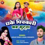 Dhake Pichkari Bhar Muttha