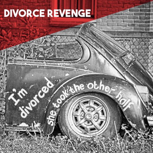 Divorce Revenge