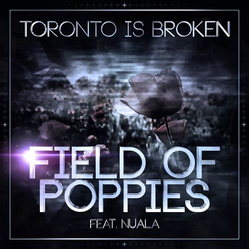 Field Of Poppies (Furney Remix) cover art