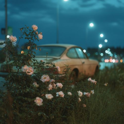 Habits (Stay High)