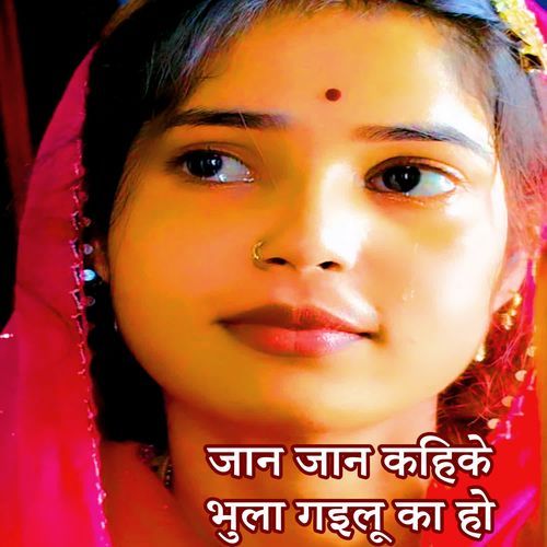 Jaan Jaan Kahike Bhula Gailu Ka Ho