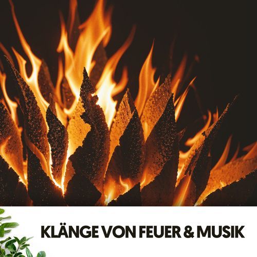 Klänge von Feuer & Musik: Flammen und Melodien kollidieren_poster_image