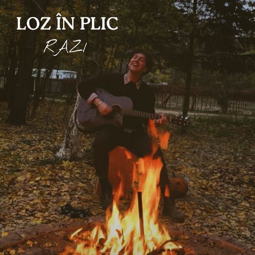 Loz în plic_poster_image