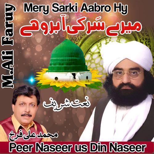 Mery Sarki Aabro Hy