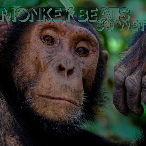 Monkey Beats cover art