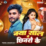 Naya Saal Me Chhinaro Ke