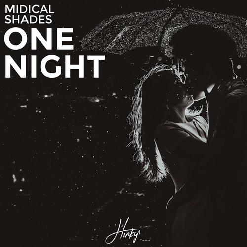 One Night (feat. Shades)_poster_image