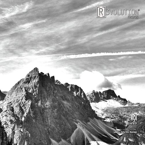 Raposo (Original Mix) cover art