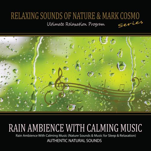 Rain Ambience With Calming Music (Nature Sounds &amp; Music for Sleep &amp; Relaxation)_poster_image