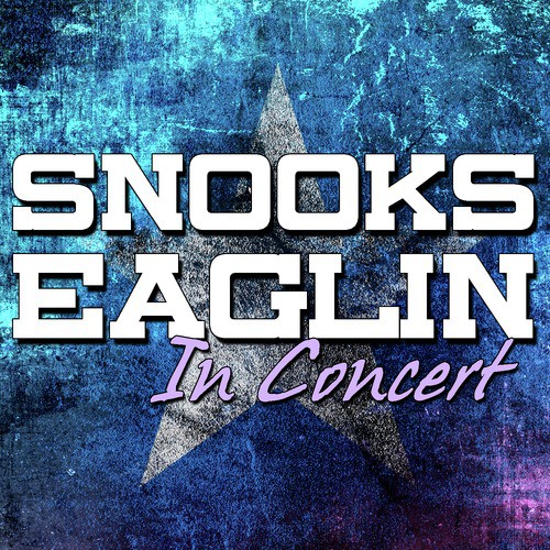 Snooks Eaglin in Concert