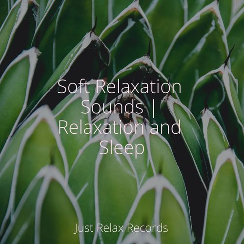 Soft Relaxation Sounds | Relaxation and Sleep