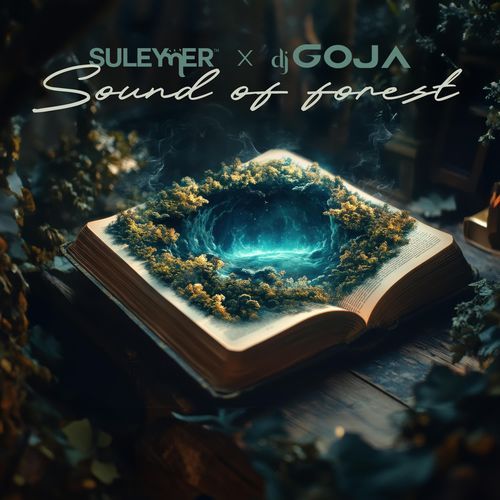 Sound Of Forest cover art