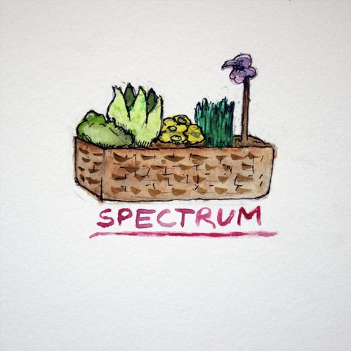 Yellow cover art