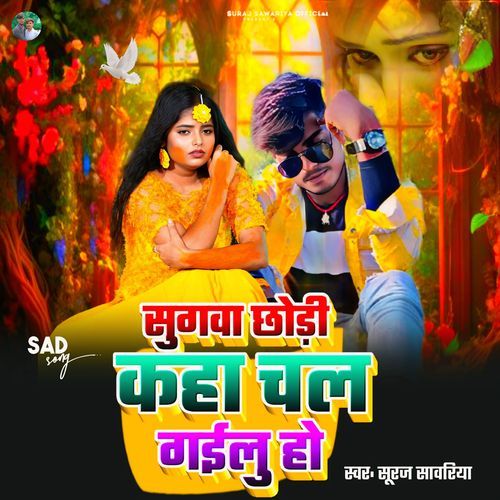 Sugawa Chhori Kaha Chal Gaile Ho