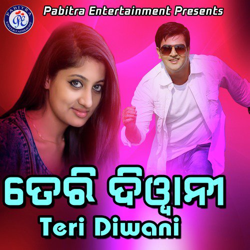 Teri Diwani_poster_image