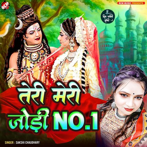 Teri Meri Jodi No 1 cover art