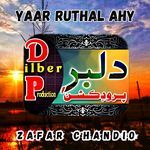 Tu Kara Sagdo Aahe Cha