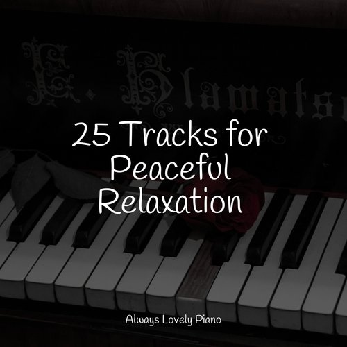 25 Tracks for Peaceful Relaxation