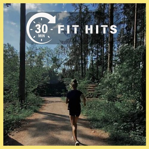 30 Mins : Fit Hits