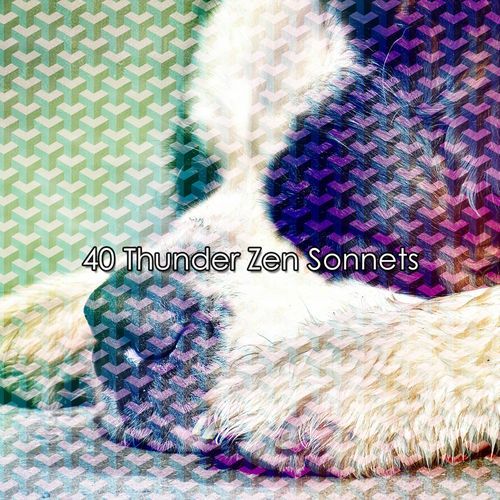 40 Thunder Zen Sonnets_poster_image