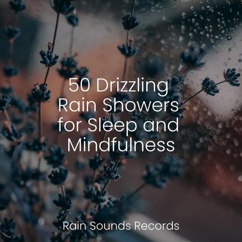 50 Drizzling Rain Showers for Sleep and Mindfulness