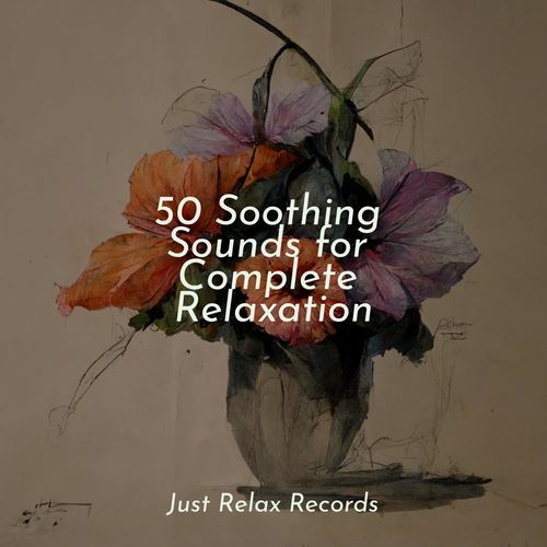 50 Soothing Sounds for Complete Relaxation