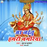 Aai Jaitu Hamre Nagariya