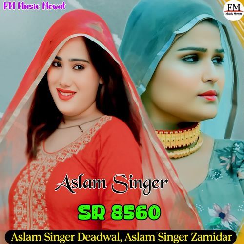 Aslam Singer SR 8560