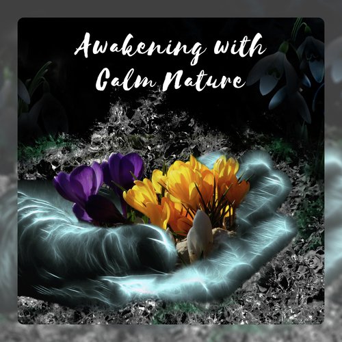 Awakening with Calm Nature (Soothing Alarm Clock Sounds, Relaxation at Morning, Boost Your Day)