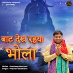 Baat Dekh Rehya Bhola